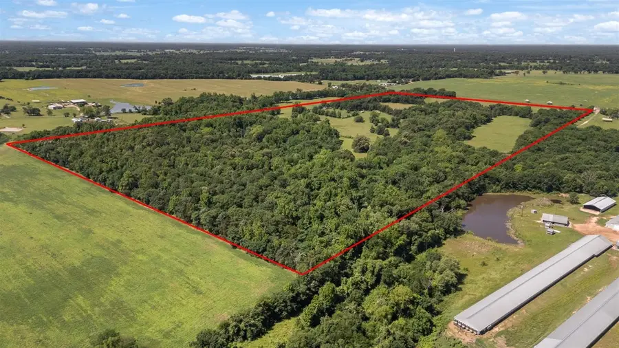 TBD County Road 2395, Winnsboro, TX 75494 - #3