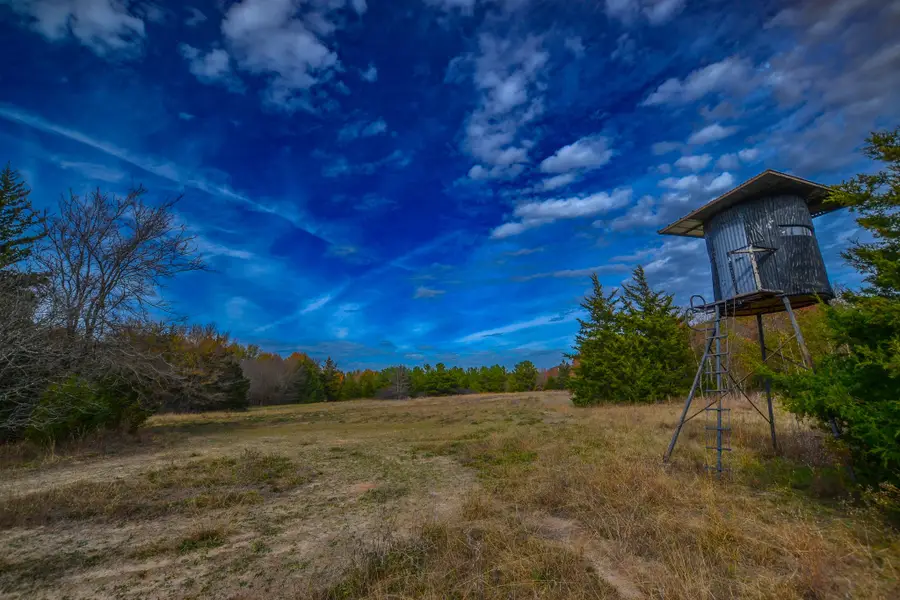 0 Cr 4960, Quitman, TX 75783 - #2