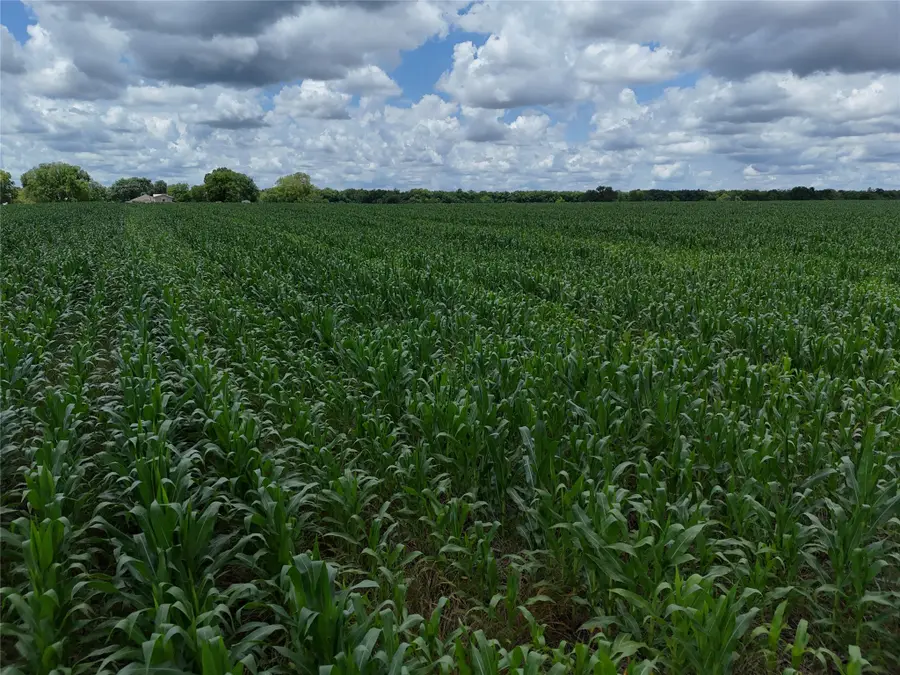 150001 Fm 198, Enloe, TX 75441 - #3