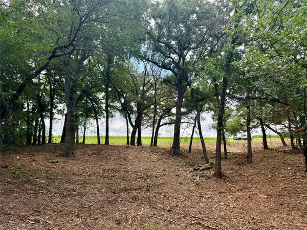 TBD +/- 10 ACRES Fm 309, Hillsboro, TX 76645