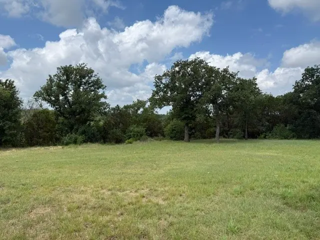 176 Cottongame Drive, Weatherford, TX 76088 - #3
