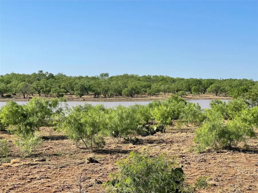 1047 County Road 346 #211ac, Gouldbusk, TX 76845 - #3