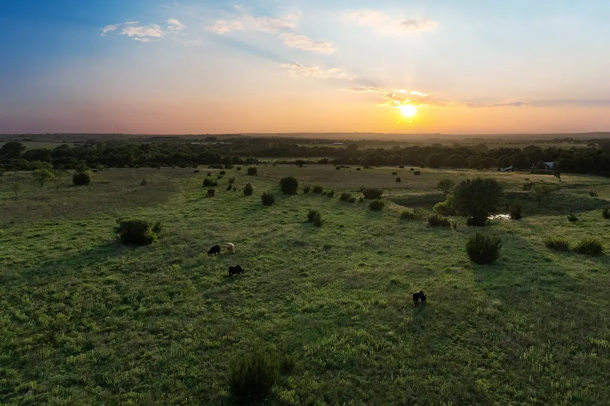 15313 Margarita Court, Lipan, TX 76462 - #1