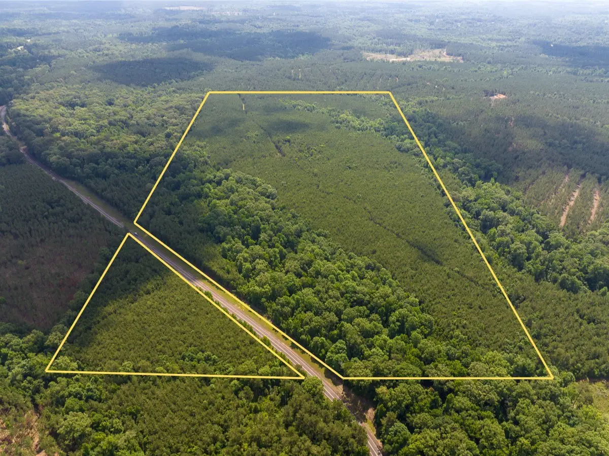 1 Highway 126, Jena, LA 71465 - #1