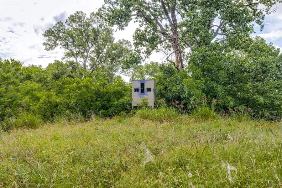 10092 W Fm 1753, Savoy, TX 76479 - #2