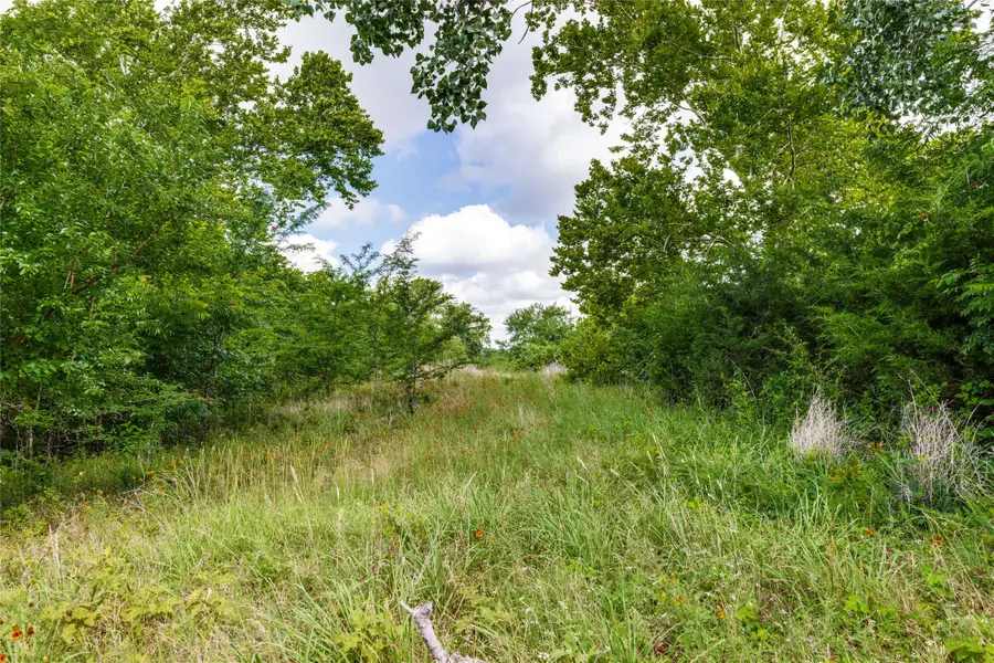 10092 W Fm 1753, Savoy, TX 76479 - #3