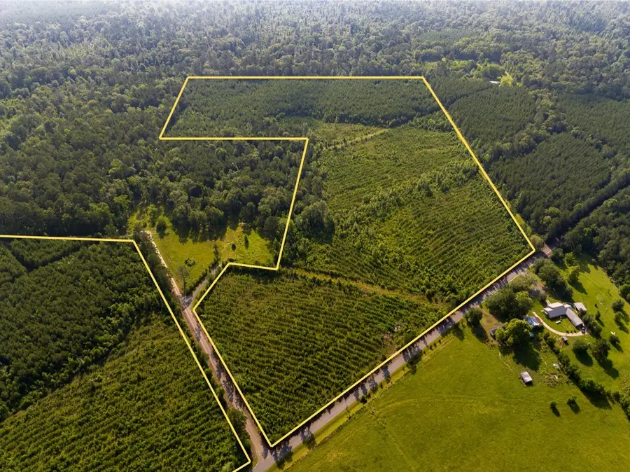 T-1 Ellis West Road, Pitkin, LA 70656 - #2