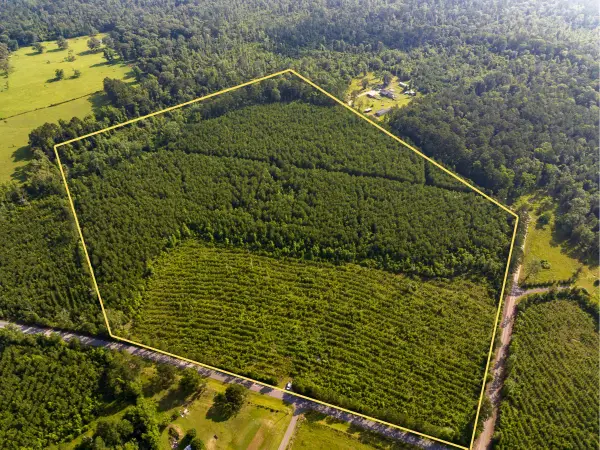 T-2 Ellis West Road, Pitkin, LA 70656