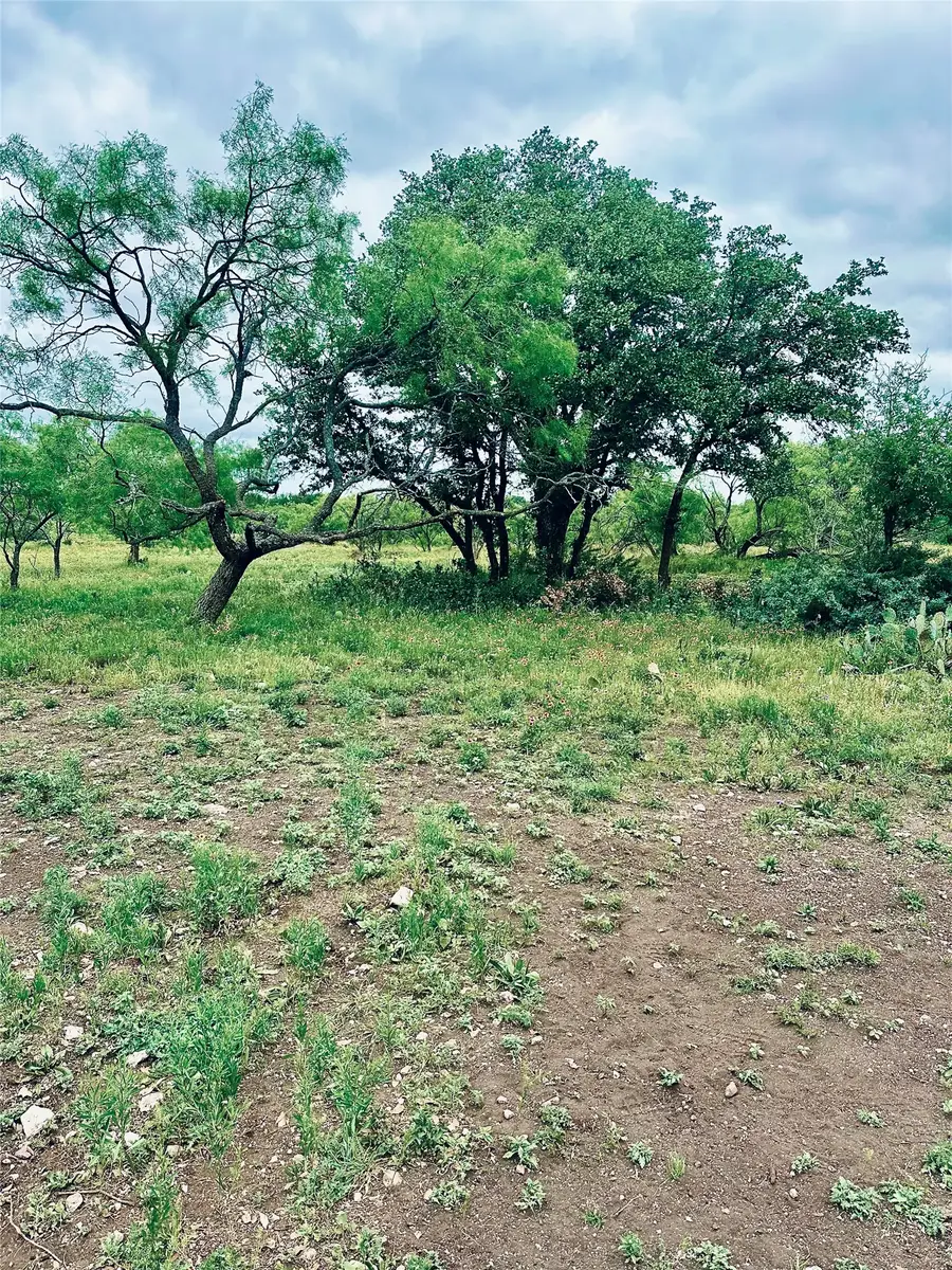 401 Fallow Spur, Melvin, TX 76858 - #3