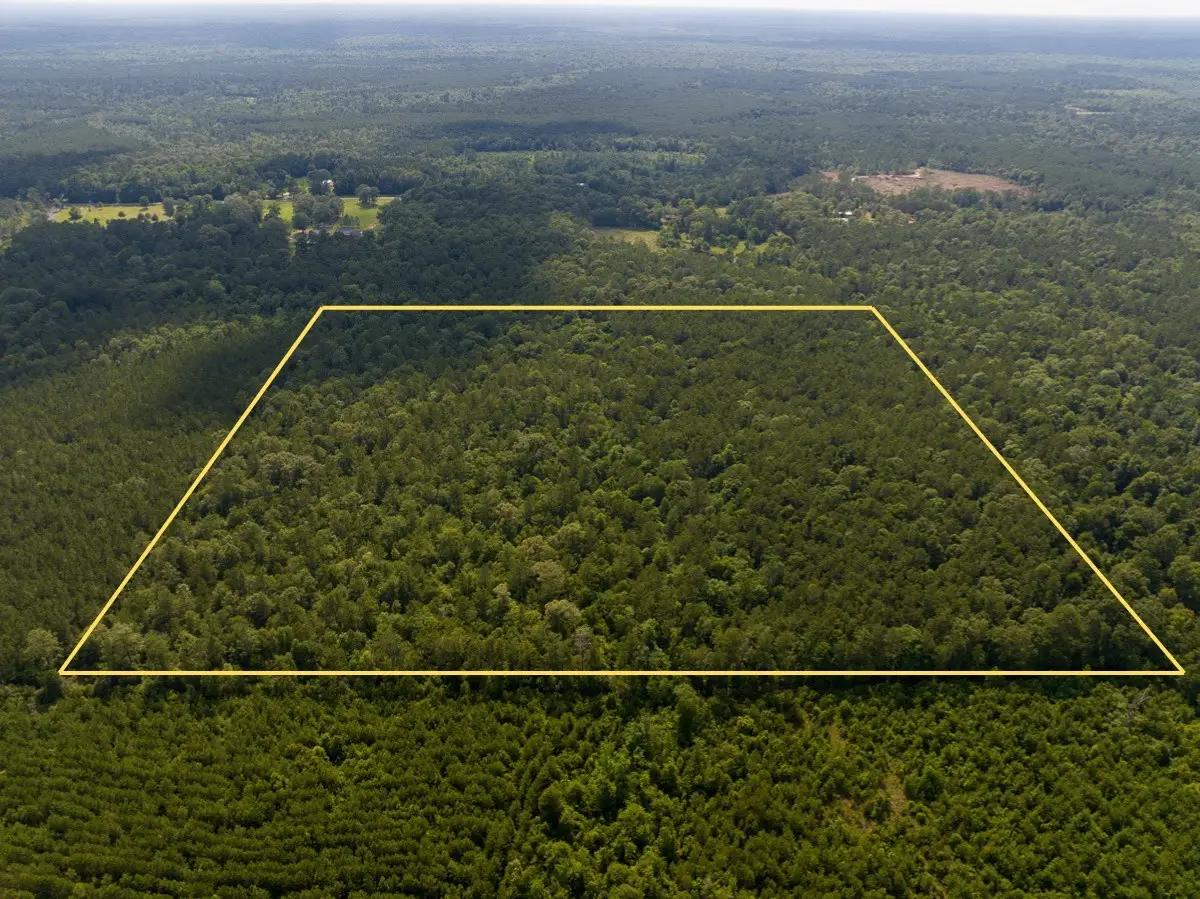 Off Webb Spikes Road, Merryville, LA 70653 - #1