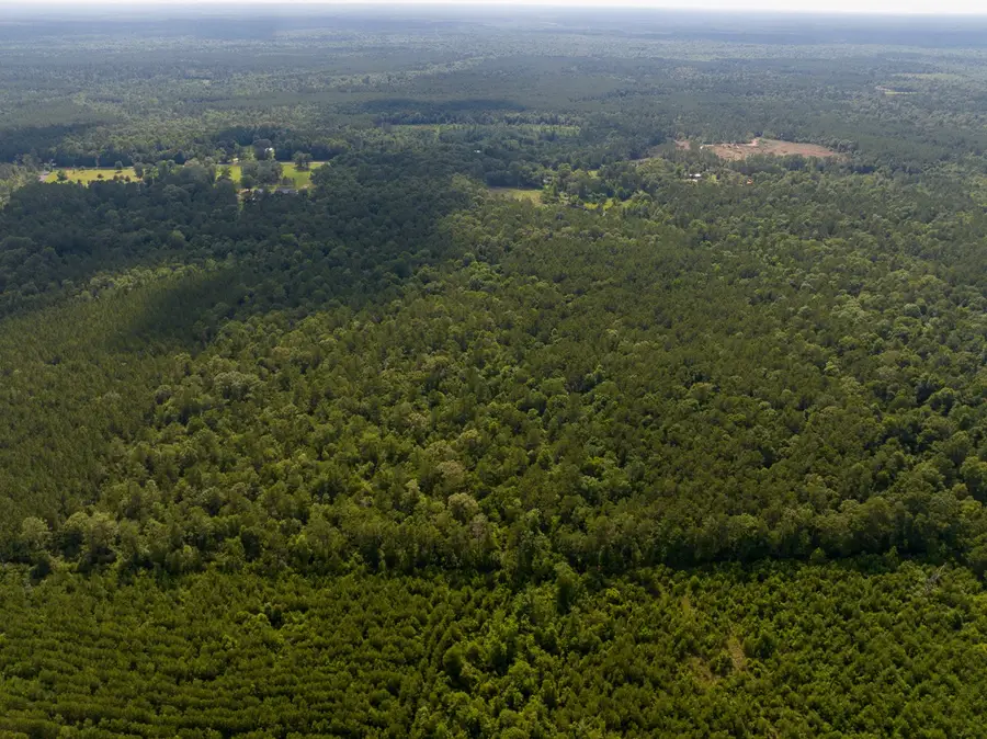 Off Webb Spikes Road, Merryville, LA 70653 - #2