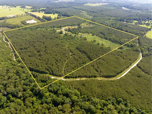 0 Ferguson Road, Coushatta, LA 71019