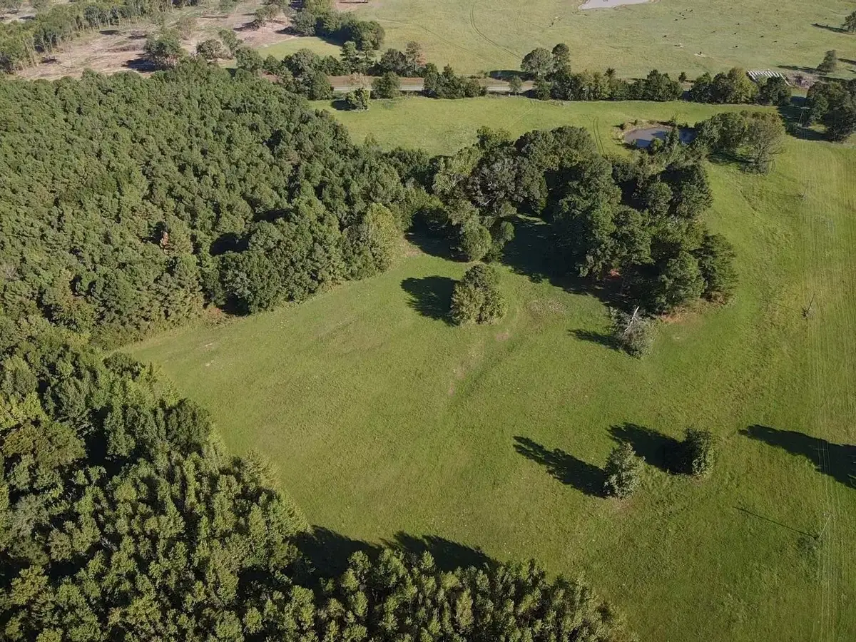 TBD Fm-1159, Clarksville, TX 75426 - #1