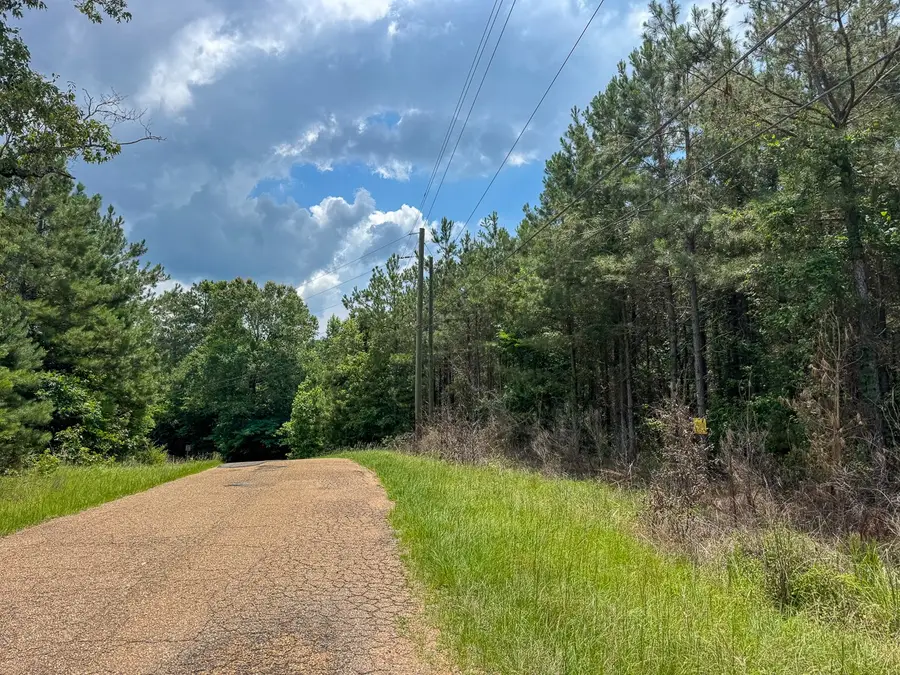 T-1 Blade Loop Road, Jena, LA 71342 - #3