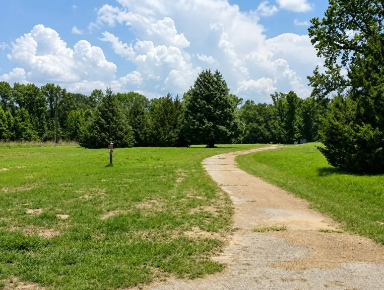 797 County Road 2958, Alba, TX 75410 - #1