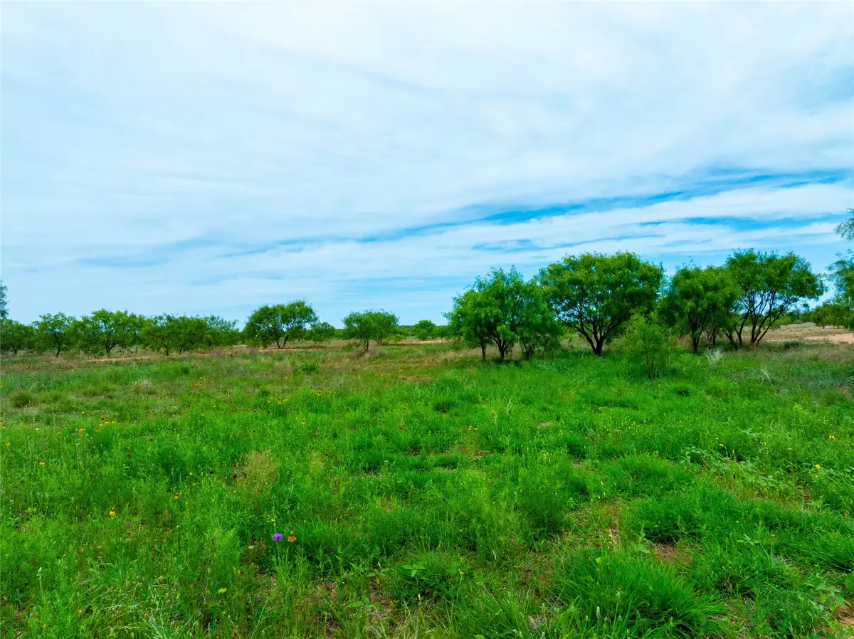 13450 County Road 440, Merkel, TX 79536 - #1