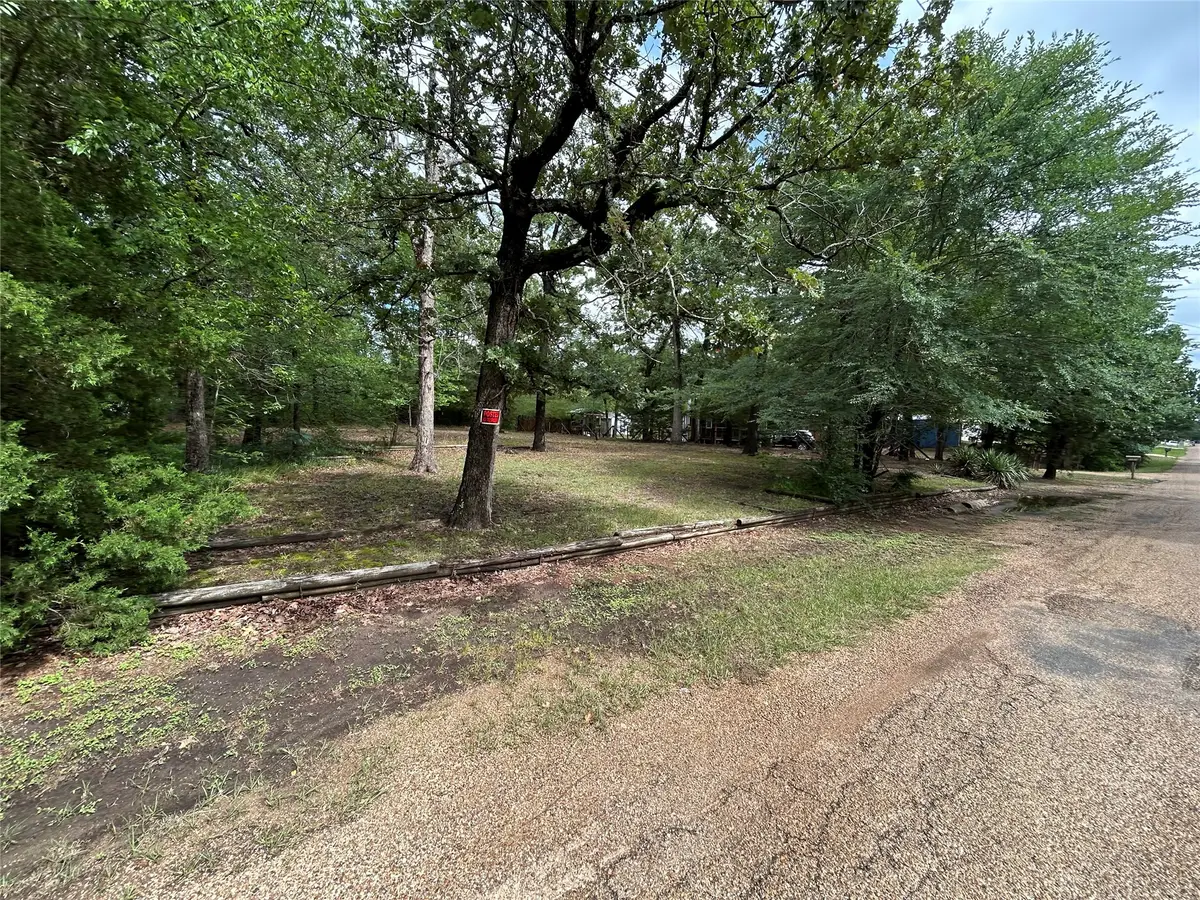 11115 Cedar Drive, Mabank, TX 75156 - #1