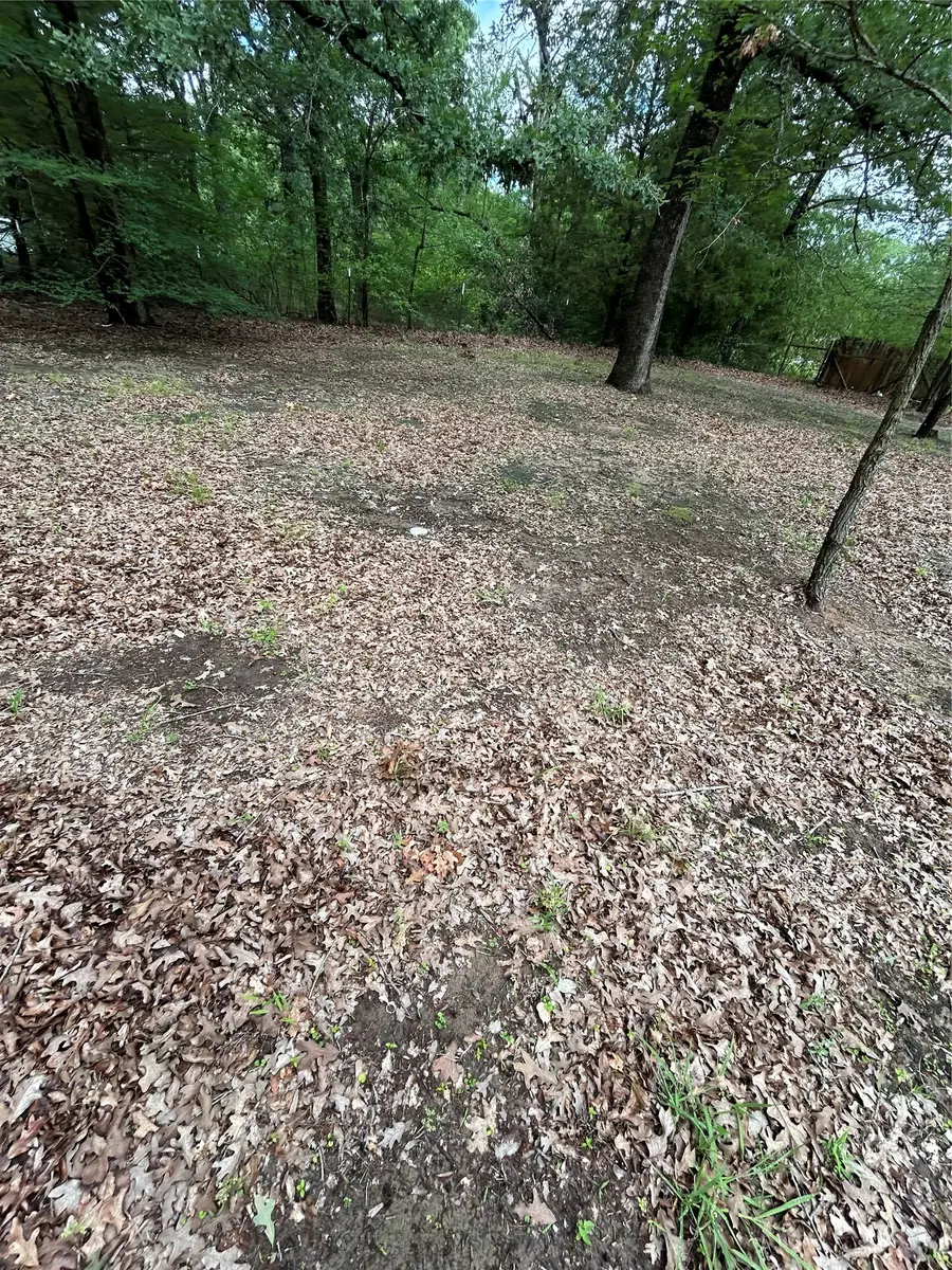 11115 Cedar Drive, Mabank, TX 75156 - #3