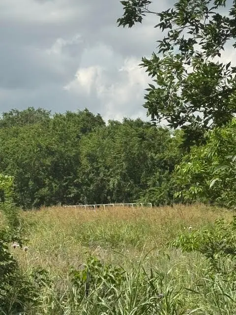 000 County Road 4219, Decatur, TX 76234