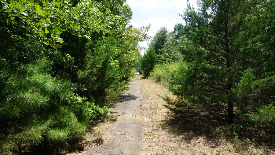 TBD Private Road 7907, Hawkins, TX 75765 - #2