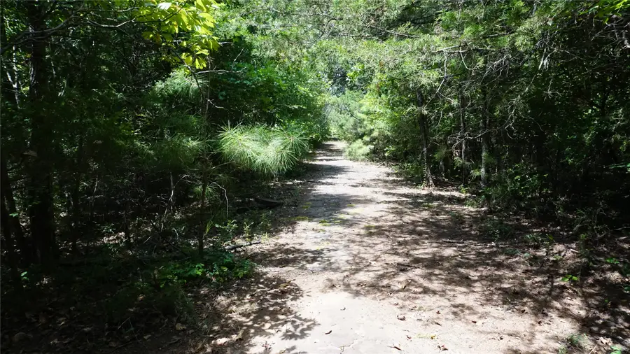 TBD Private Road 7907, Hawkins, TX 75765 - #3