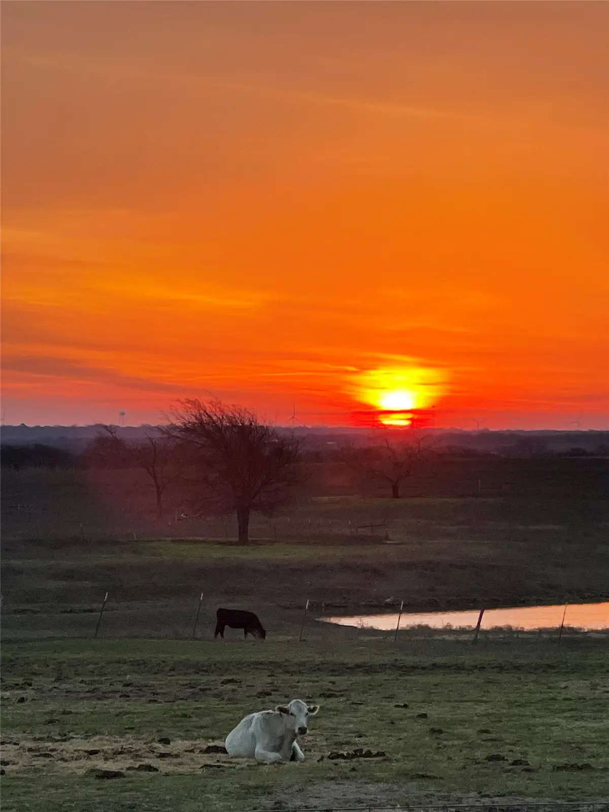 1044 Hcr 3241, Hubbard, TX 76648 - #1