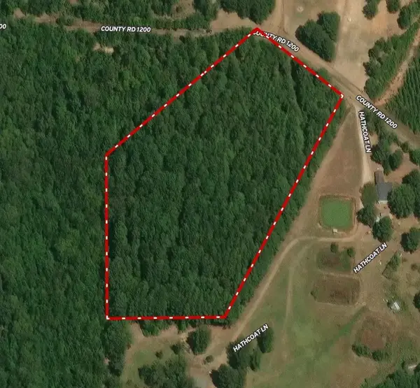 000 Cr 1200, Daingerfield, TX 75686
