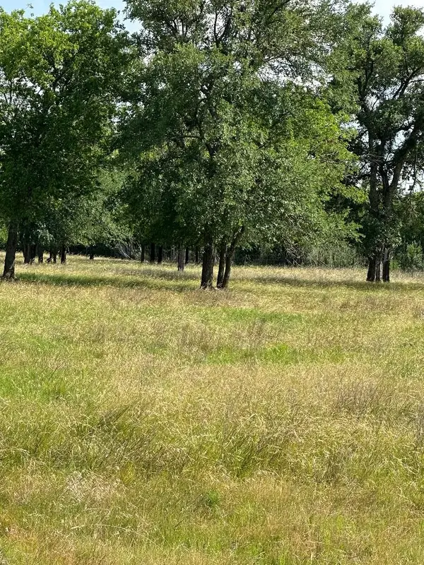 454 Hcr 2129 W, Whitney, TX 76692