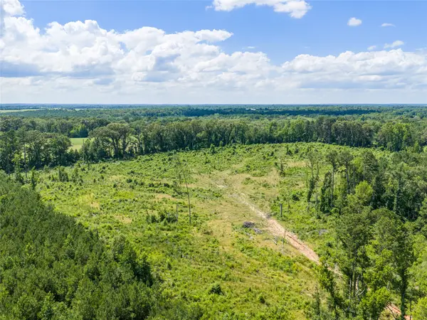 TBD Mule Deer Rd Road, Gilmer, TX 75644