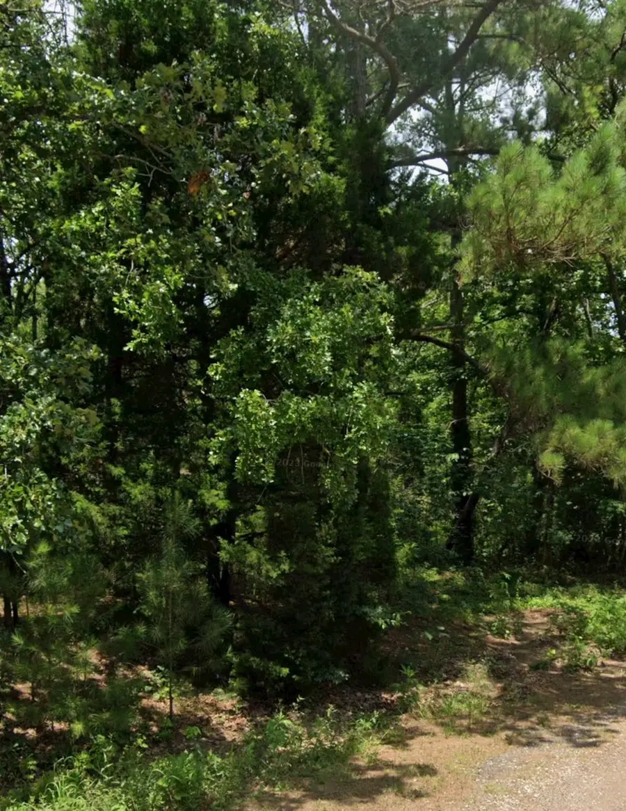 5343 Sam Bass, Log Cabin, TX 75074 - #2