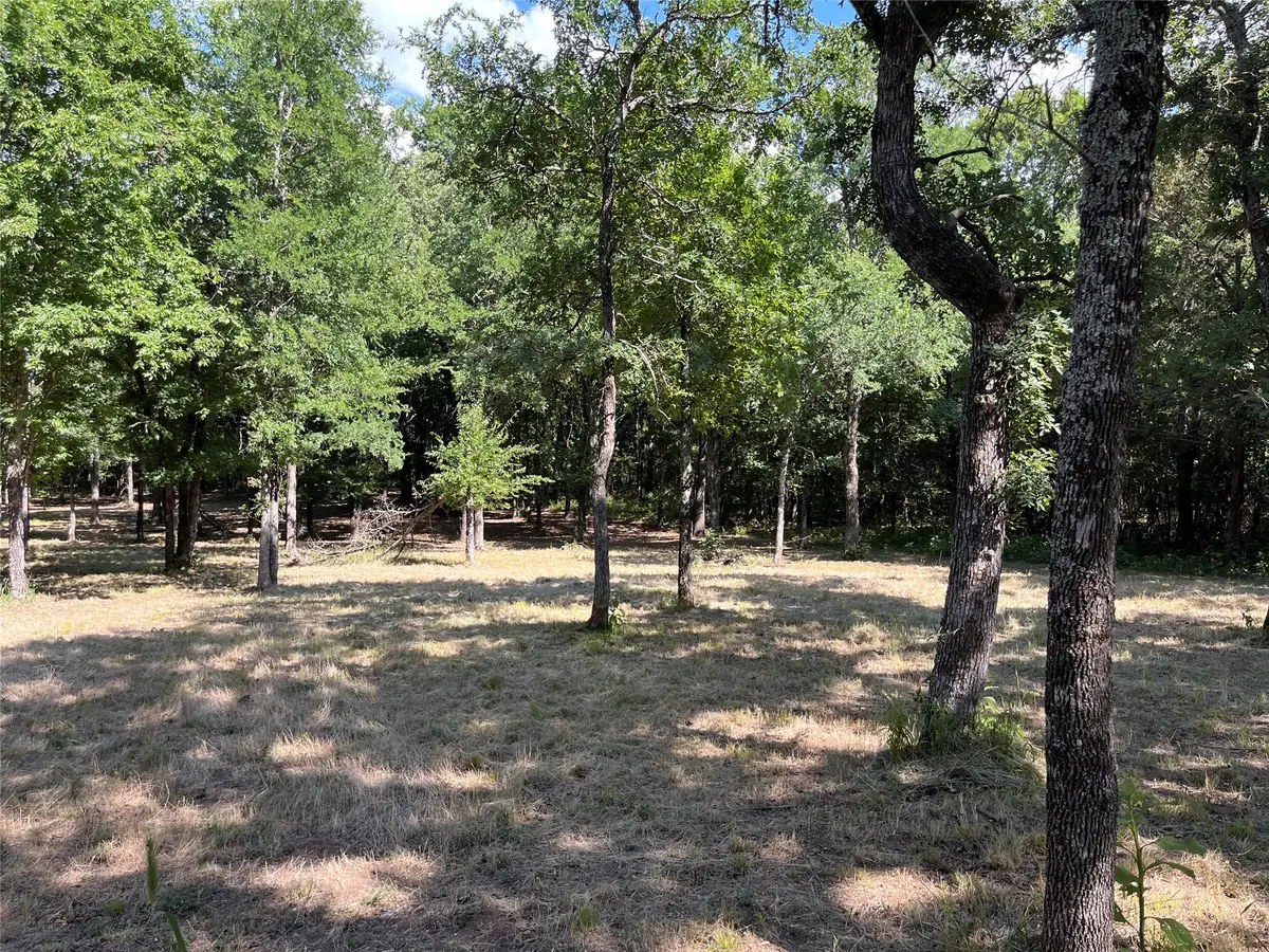 381 Ranchview Court, Bowie, TX 76230 - #1