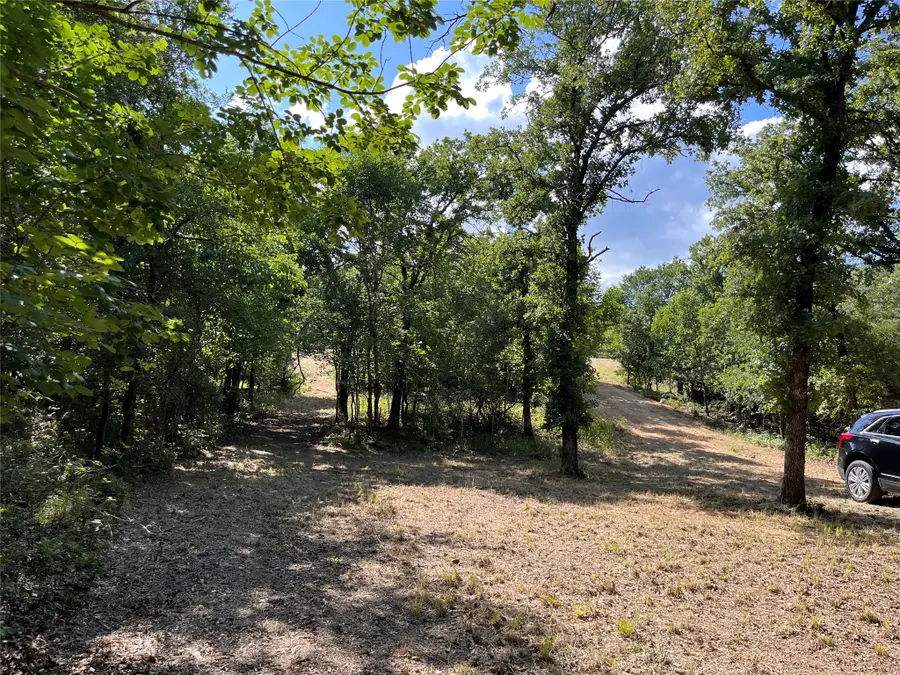 381 Ranchview Court, Bowie, TX 76230 - #3