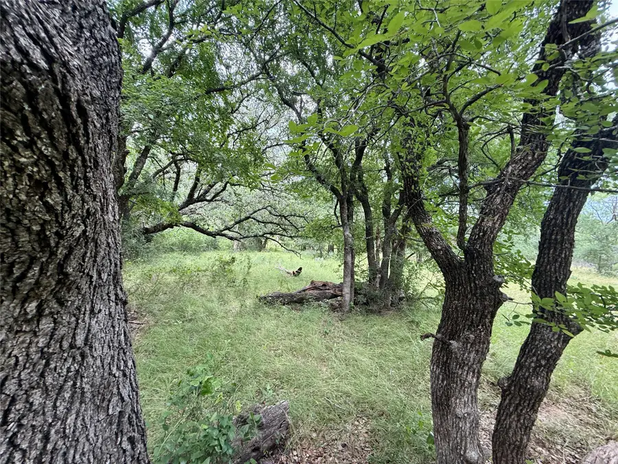 2840 County Road 404, Early, TX 76802 - #3