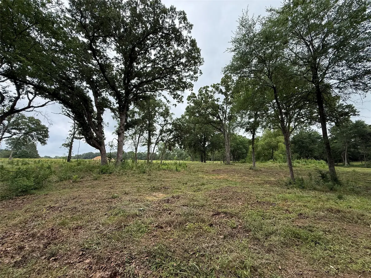 210 Livingston Street, Edgewood, TX 75117 - #1