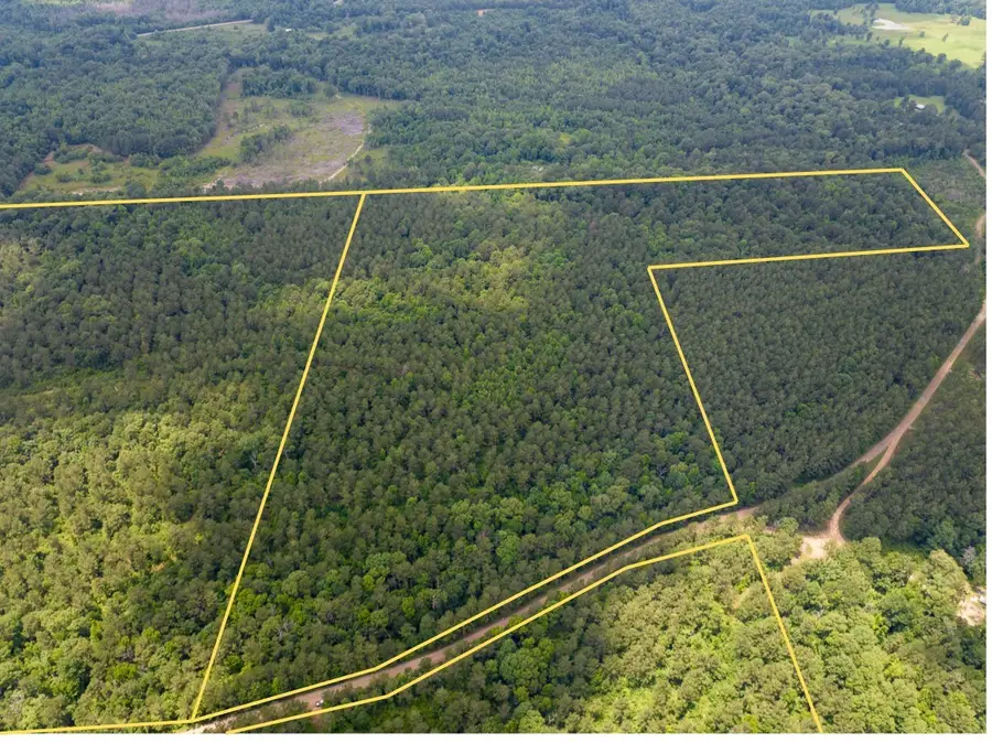 2 Posey Webb Camp Road, Jonesville, LA 71343 - #2