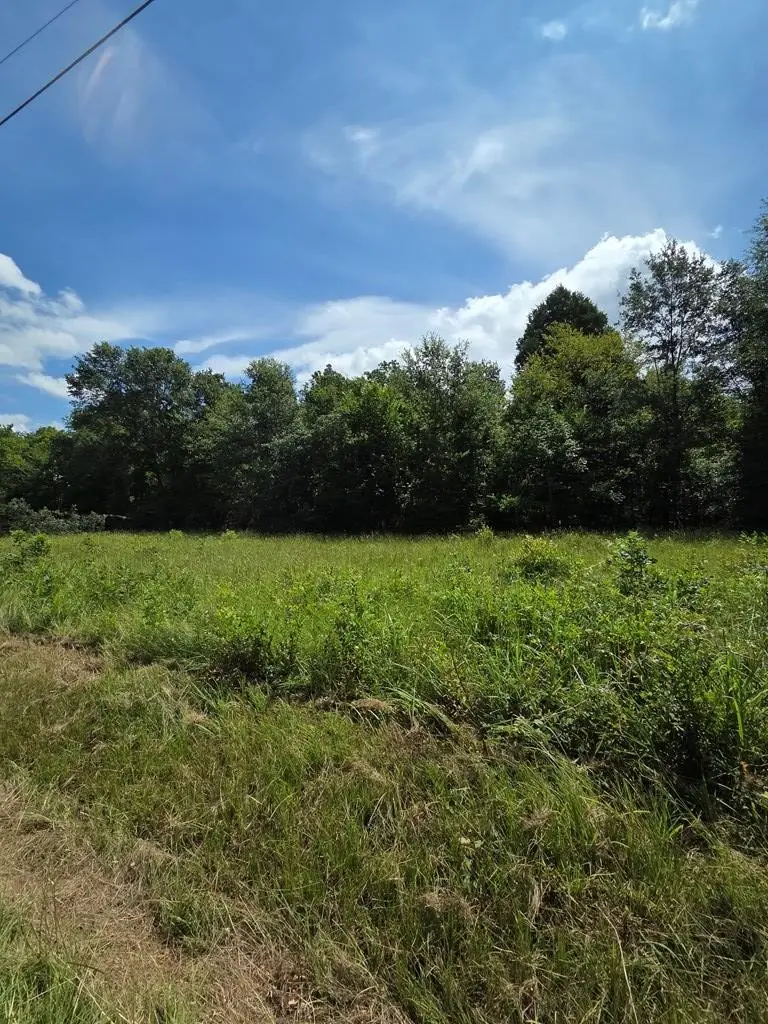 166 Deer Run Road, Mabank, TX 75156 - #2