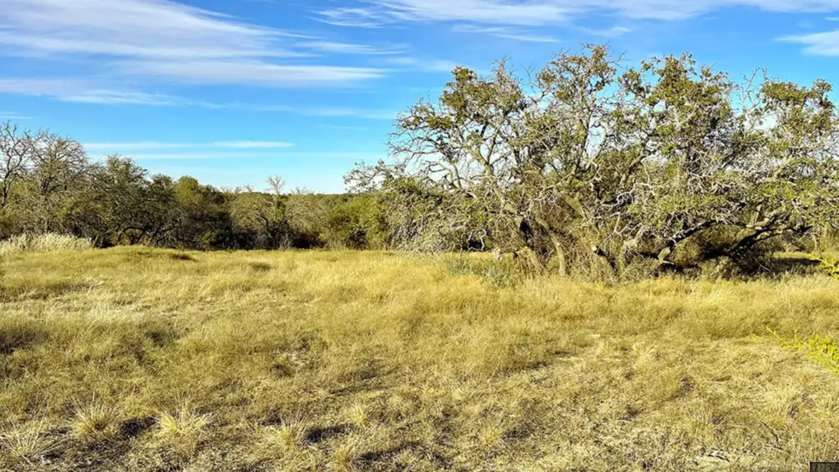 000 Tract 19, 165 County Road, Sidney, TX 76474 - #1