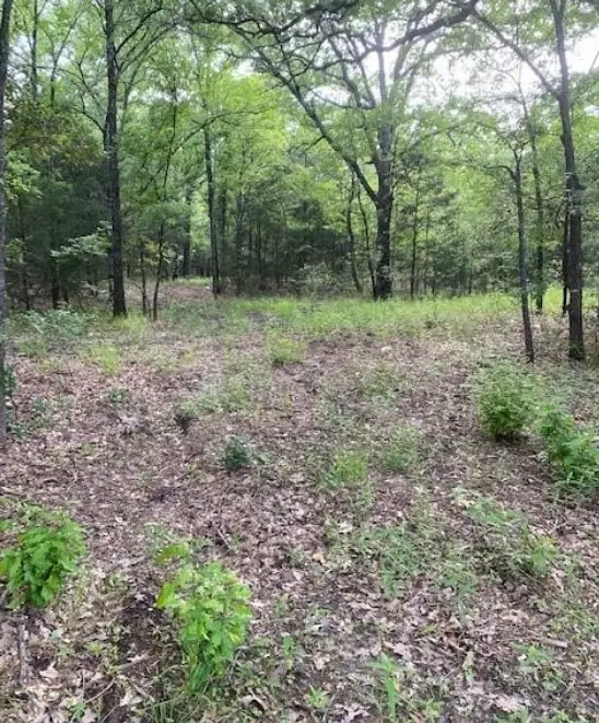 0000 Hwy 175, Mabank, TX 75147 - #3