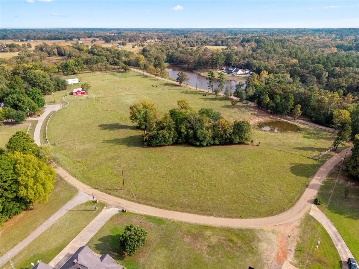TBD County Road 1690, Mount Pleasant, TX 75455 - #1