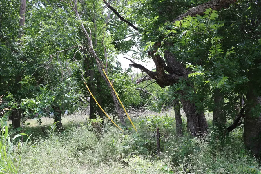 000 County Road 282, Dublin, TX 76446 - #2