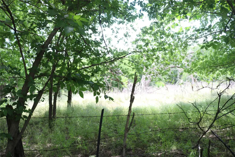 000 County Road 282, Dublin, TX 76446 - #3