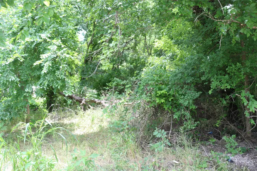 00 County Road 282, Dublin, TX 76446 - #2