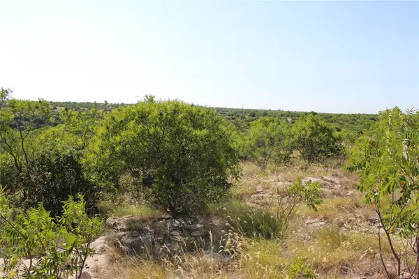 163 Baltrusol Drive, Graford, TX 76449