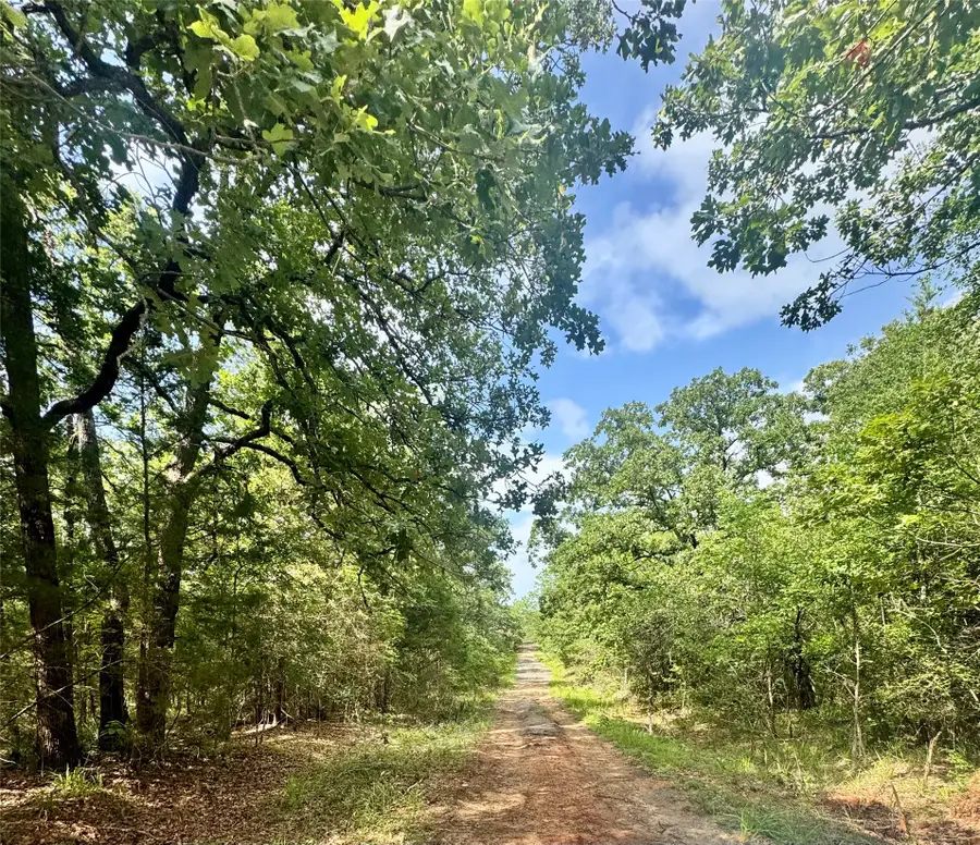 lot 2111 Butch Cassidy Drive, Log Cabin, TX 75148 - #2