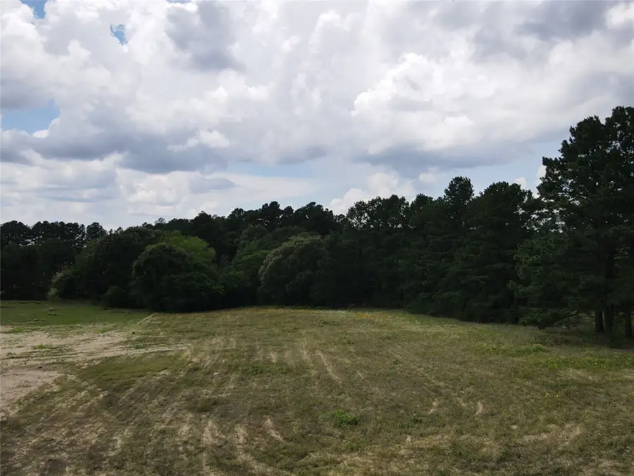 TBD Palomino Court, Athens, TX 75752 - #3