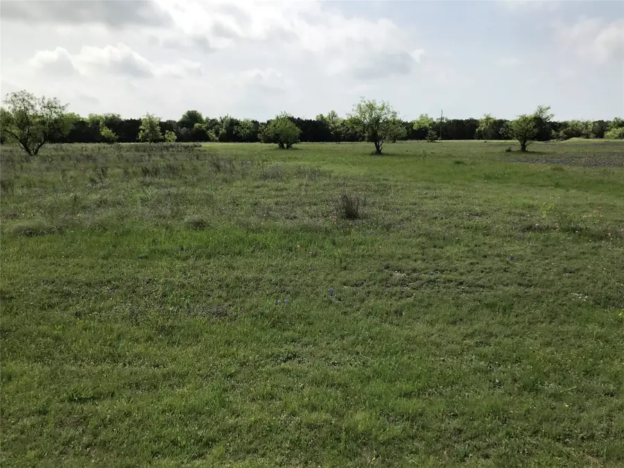 1014 White Bluff Drive, Whitney, TX 76692 - #2