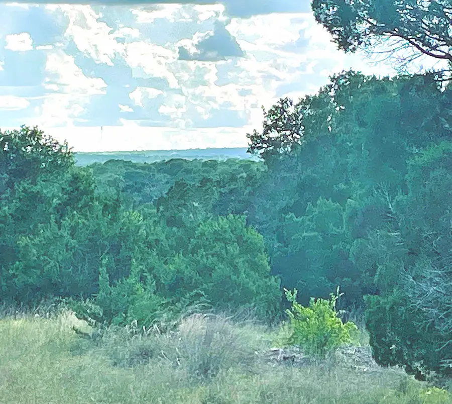 TBD Lot 16 Ph 5, Evant, TX 76525 - #3