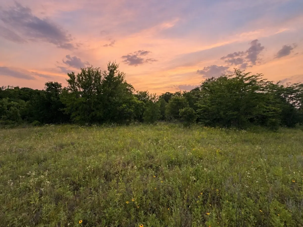 316 County Road 458, De Leon, TX 76444 - #1