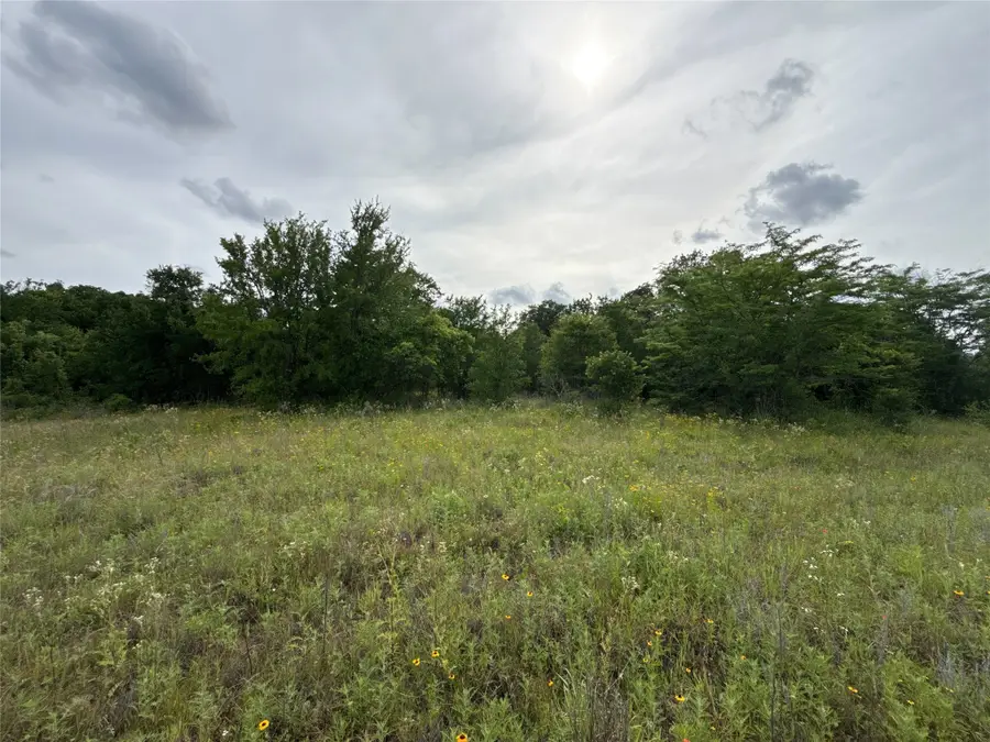 316 County Road 458, De Leon, TX 76444 - #2