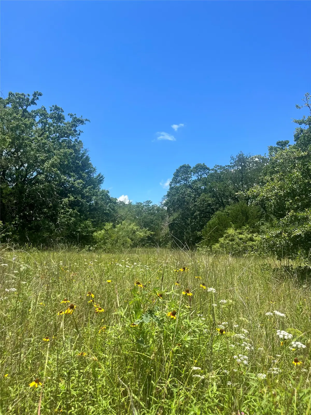 TBD Fm 39, Groesbeck, TX 76642 - #1